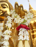 thai image 3