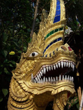 thai images 5